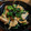 しらたまこむぎ's cooksnap of when they made ほうれん草と鶏肉のおかか炒め.