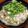 ヤング's cooksnap of when they made 豆腐とクレソンの豚しゃぶ鍋.