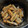 かいや's cooksnap of when they made ごぼうと人参の甘辛炒め.