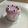 クックVNSDWB☆'s cooksnap of when they made お手軽犬用ケーキ【オーブン＆泡立て不要】.