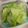 マールマル's cooksnap of when they made 白菜のお浸し（透析食）.