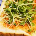 みぽぴぽ's cooksnap of when they made ✰カイワレのピザ風トースト✰.