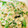 りーとぽん's cooksnap of when they made いんげんのごま味噌マヨ和え.