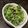 いちじくのコンポート's cooksnap of when they made 小松菜あっさりワサビ和え(✿◕‿◡ฺ).