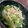 わんあみ's cooksnap of when they made ピーマンとえのきの酢の物♪.