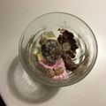sakutakuhitoshu's cooksnap of when they made お安いアイスも絶品！マロンアイス♡.