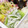 DORA＊DORA's cooksnap of when they made 旬！スナップエンドウとしらすの梅マヨ和え.