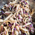 もんち222's cooksnap of when they made 簡単　白菜と大根の塩昆布サラダ.