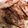 ♬あじさいのレシピ♬'s cooksnap of when they made 豚ロース肉のバターにんにく炒め.
