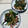 クックchitann's cooksnap of when they made ベーコンとほうれん草のバター炒め.