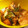 Bonjoooour's cooksnap of when they made 鮭と厚揚げの照り焼き.