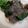 NEKOほっぺ's cooksnap of when they made 大根の葉の胡麻和え♡いつも同じ味に♡.