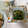 ポラリス管理栄養士's cooksnap of when they made 【和食】ほうれん草のおひたし.
