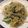 ベティ３'s cooksnap of when they made もやしとキュウリのシンプル塩焼きそば.