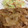 ドラ修行中's cooksnap of when they made タモさん風　豚肉のしょうが焼き.