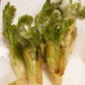 YumiYummyy's cooksnap of when they made ◎たらの芽の米粉揚げ◎.