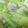 Gowest2427's cooksnap of when they made 10分で完成★ツナとキャベツのレンジ蒸し.