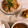 mack♪♪♪'s cooksnap of when they made 味付け1つ！むね肉とれんこんのコク旨炒め.