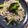 ひろみつばち's cooksnap of when they made 混ぜるだけ！しらすペペロンチーノ風素麺.