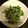 露天好き's cooksnap of when they made ピーマンとしらすの塩昆布和え.