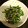 露天好き's cooksnap of when they made ピーマンとしらすの塩昆布和え.