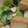 あゆたっくん's cooksnap of when they made 厚揚げと青梗菜の煮物.