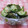 さったんママ's cooksnap of when they made 【定番】胡瓜の酢の物.