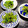 ルぴあ's cooksnap of when they made ✿ピーマンは生が一番！ごま塩昆布和え✿.