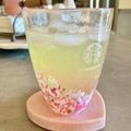 ばぢこ's cooksnap of when they made ＊さっぱり＊蜂蜜レモン緑茶＊.