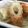sugarbeast's cooksnap of when they made 揚げない！ちくわの磯辺揚げ.