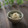 まろんかふぇ's cooksnap of when they made 新玉ねぎとしらすのお浸し.
