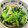 ムーヒツジ's cooksnap of when they made 小松菜と竹輪のメチャ旨和え.