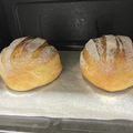 macomacco's cooksnap of when they made ミルクハース＊練乳とミルクでふわふわパン.