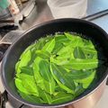 あとむままのテーブル's cooksnap of when they made 手作りローリエ.