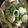 クック2H9MD0☆'s cooksnap of when they made 簡単！栄養満点◎鶏肉とごぼうのお吸い物.