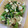 クック1DZ0RK☆'s cooksnap of when they made 小松菜とちくわのオイスターソース炒め.
