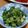 犬Gyami's cooksnap of when they made セロリとツナのおつまみサラダ.