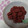etomy☆'s cooksnap of when they made おせちの黒豆をリメイクであの甘納豆.