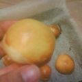 akatsukigo's cooksnap of when they made 大好き♥栗の甘露煮♥♦.
