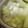 りんばたまま's cooksnap of when they made シロさんの鶏手羽先の水炊き.