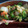 けんいっちー's cooksnap of when they made 簡単☆めんつゆで野菜炒め.