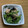 みぃくんのママ's cooksnap of when they made 菜の花とツナの和風サラダ.