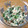 kaopapa's cooksnap of when they made 簡単☆ほうれん草の白和え.