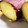 みずまんじゅう♪'s cooksnap of when they made 農家直伝！簡単焼き芋.