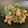 クック15FFG6☆'s cooksnap of when they made ピーマンのひき肉炒め.