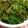 クックO6G1IY☆'s cooksnap of when they made ピーマンのオイスターソース炒め.