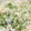 みぽぴぽ's cooksnap of when they made 簡単5分＊天かすと水菜とツナのおひたし.