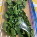 ＊＊もっさん＊＊'s cooksnap of when they made 簡単便利♡セロリの葉は冷凍保存.