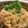 tomuyamu's cooksnap of when they made ピーラー大根とツナのとろとろ煮.