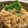 tomuyamu's cooksnap of when they made ピーラー大根とツナのとろとろ煮.
